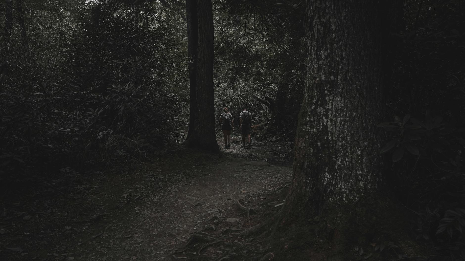 Dwoje turystów idzie ciemnym leśnym szlakiem o zmierzchu